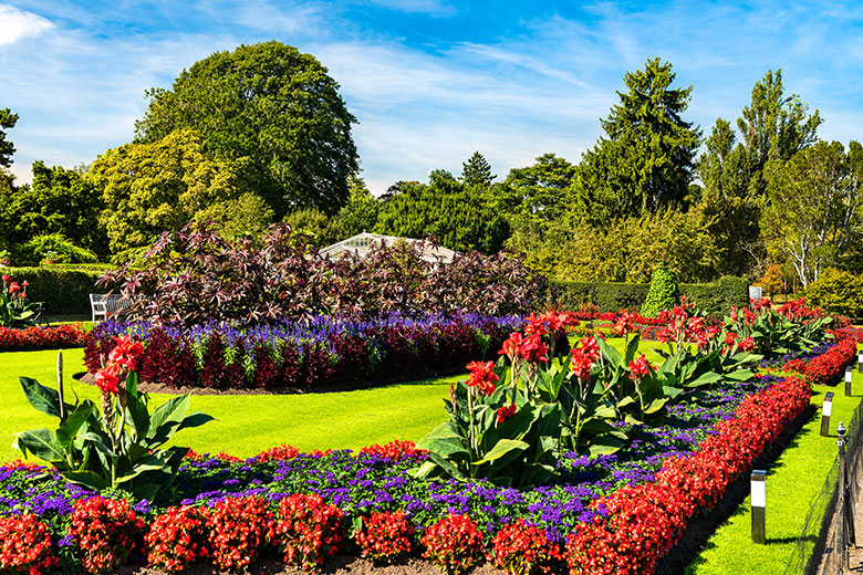 Explore Kew Gardens with us